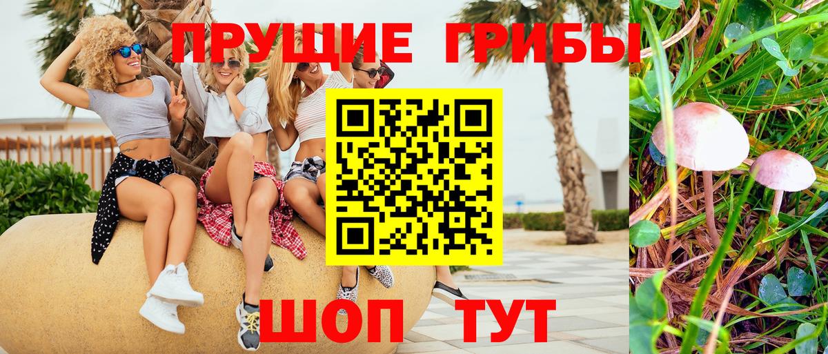 Галлюциногенные грибы прущие грибы Рузаевка