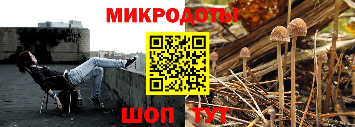 Рузаевка  Псилоцибиновые грибы GOLDEN TEACHER  Вход с VPN  Галлюциногенные грибы мухоморы 
